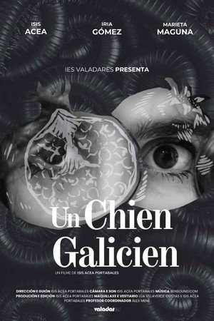 Un chien galicien