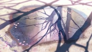 5 Centimeters per Second ( 2007 )