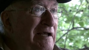 Vicente Aranda, 50 años de cine