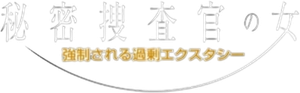 SNIS-398 秘密捜査官の女 強制される過剰エクスタシー 葵 — Logos 1