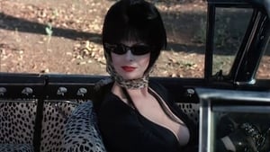 Elvira, Mistress of the Dark