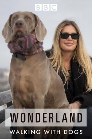 Image Walking with Dogs: A Wonderland Special