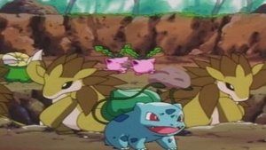 S05E16 - Bulbasaur... the Ambassador!