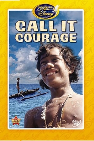 Poster Call it Courage 1973