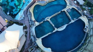 Has the Magic Vanished from Marine Zoos?