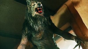 Dog Soldiers