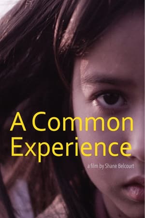 Poster A Common Experience (2013)