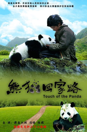 Trail of the Panda