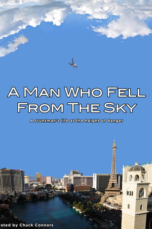 A Man Who Fell From The Sky