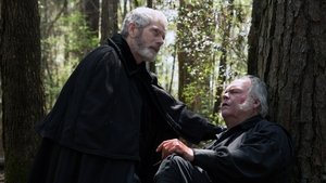 Salem 1 x 8