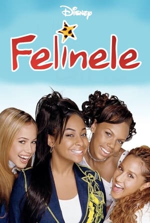 Poster Felinele 2003