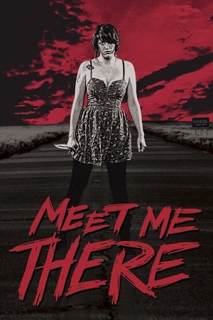 Meet Me There poster