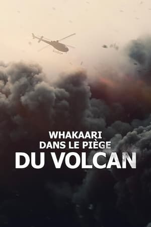 Poster Whakaari : Dans le piège du volcan 2022