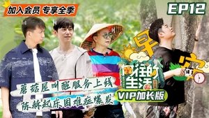 Back to Field: 4×12