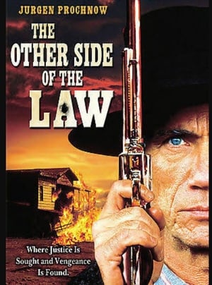 Poster The Other Side of the Law 1994