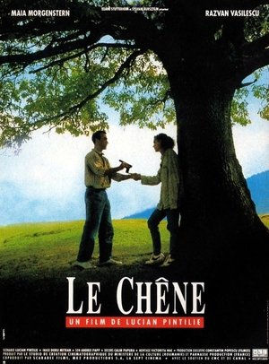 Image Le Chêne