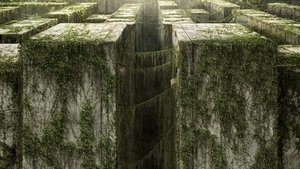 The Maze Runner