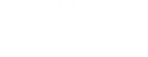 Tea Town Teddy Bears
