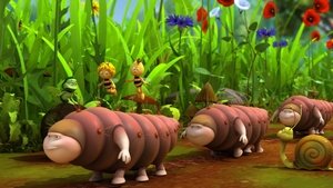 Maya the Bee: 2×6