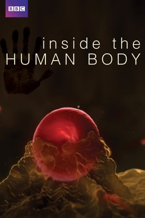 Dentro del cuerpo humano