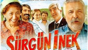 Sürgün İnek