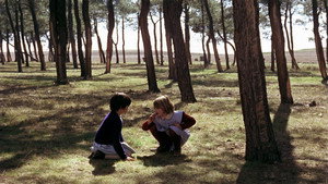 El espíritu de la colmena movie still 48