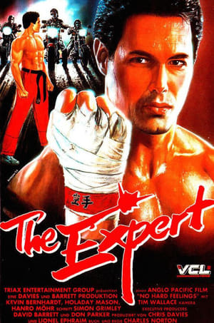 The Expert 1987