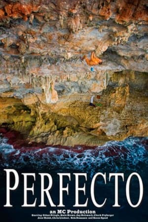 Poster Perfecto (2008)