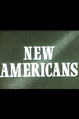 New Americans 2