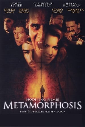 Poster Metamorfózis 2007