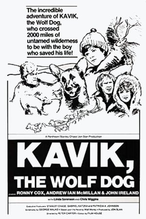 Kavik the Wolf Dog poster