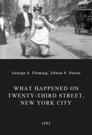 What Happened on Twenty-Third Street, New York City 1901