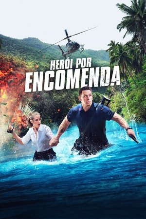 Herói por Encomenda - Poster