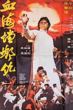 Poster Mantis Fists & Tiger Claws of Shaolin 1977
