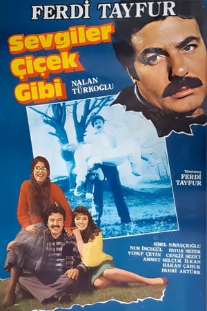 Sevgiler Çiçek Gibi poster