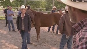 Heartland 4 – Episodio 8