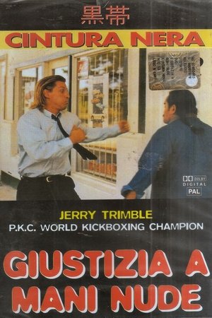 Giustizia a mani nude (1994)