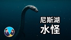 Episode 262