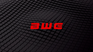 Boston Wrestling Entertainment