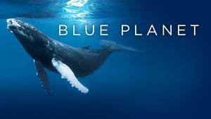 The Blue Planet (2001)