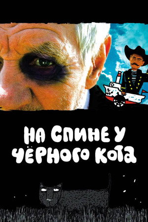 На спине у чёрного кота
