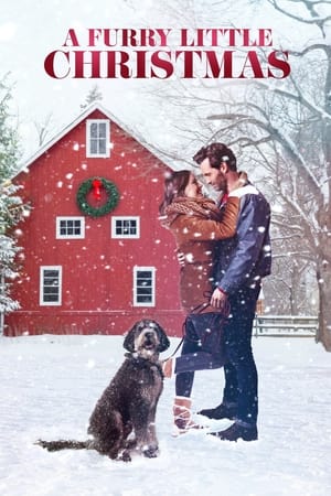 Image Karácsony Vermontban
