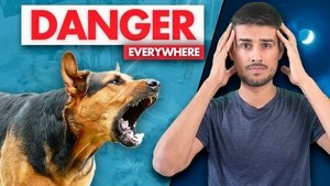 India has a Big Stray Dogs Problem
