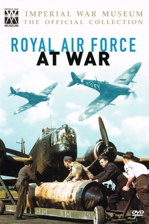 Royal Air Force at War 2002