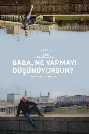 Baba, What's Your Plan?