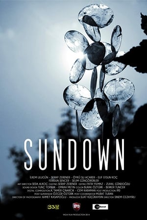 Poster Sundown 2014