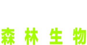 Wild City — Logos 2