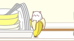 Bananya The Kitty Who Lives in a Banana