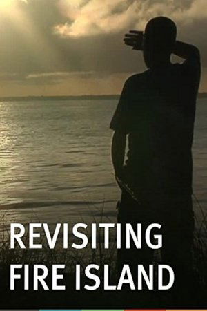 Poster Revisiting Fire Island 2013