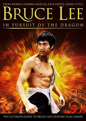 Poster Bruce Lee: In Pursuit of the Dragon 2011